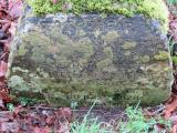 image of grave number 739331